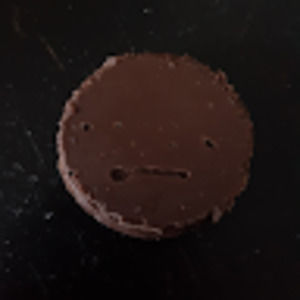 Meet your Posher, Lily